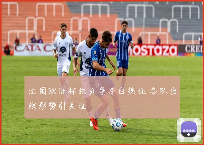 法国欧洲杯积分争夺白热化 各队出线形势引关注