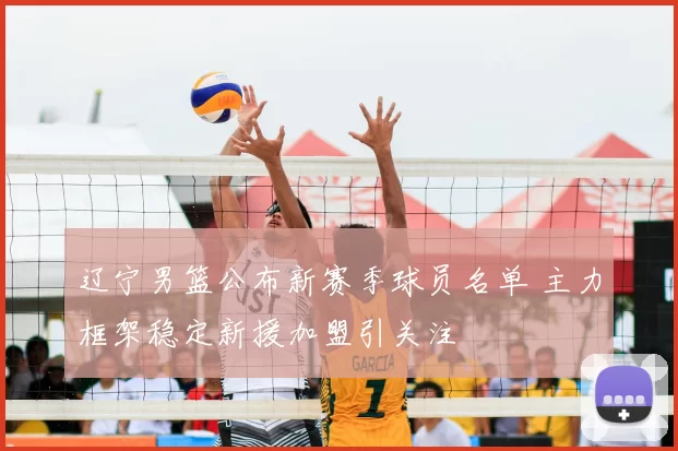 辽宁男篮公布新赛季球员名单 主力框架稳定新援加盟引关注