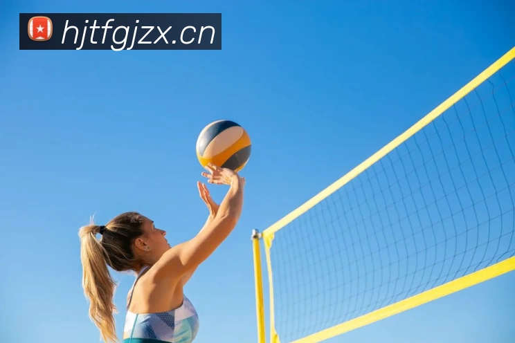 Bsports官方网站登录入口平台生态图